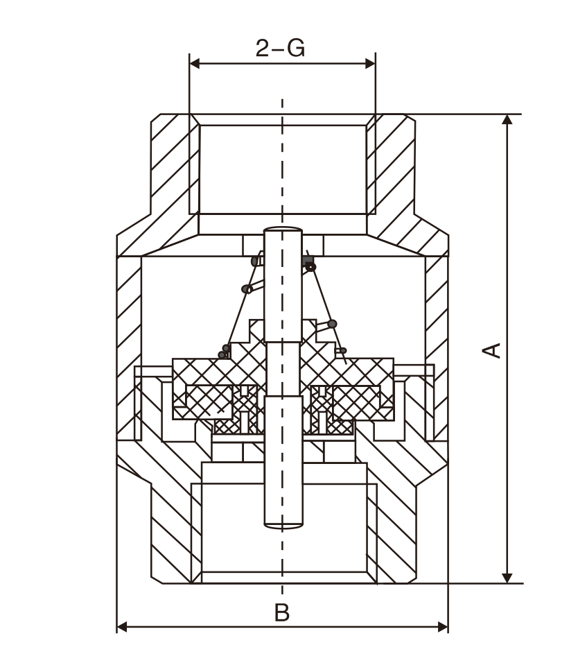 黃(huáng)銅立式止(zhǐ)回閥(圖1)