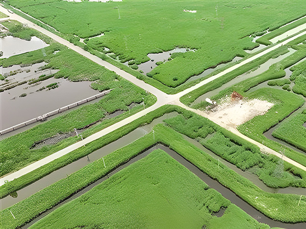 打(da)造綠色低碳油田(tián) 做綠色發展的“頂(ding)梁柱”